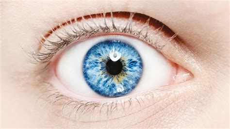mavi gözlülerin özellikleri